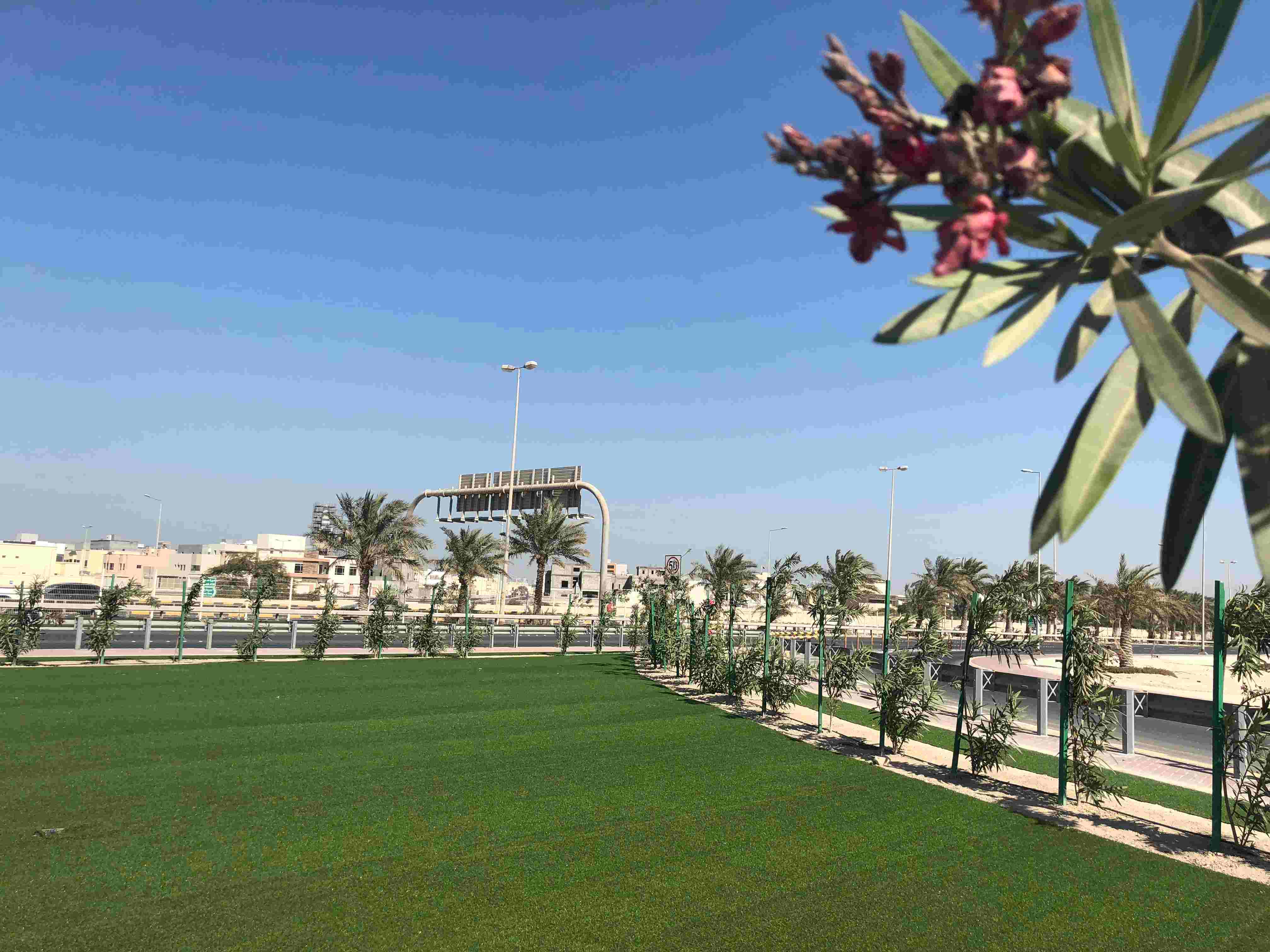 بلدية "الجنوبية" تُجمل مثلث المنطقة التعليمية بمدينة عيسى