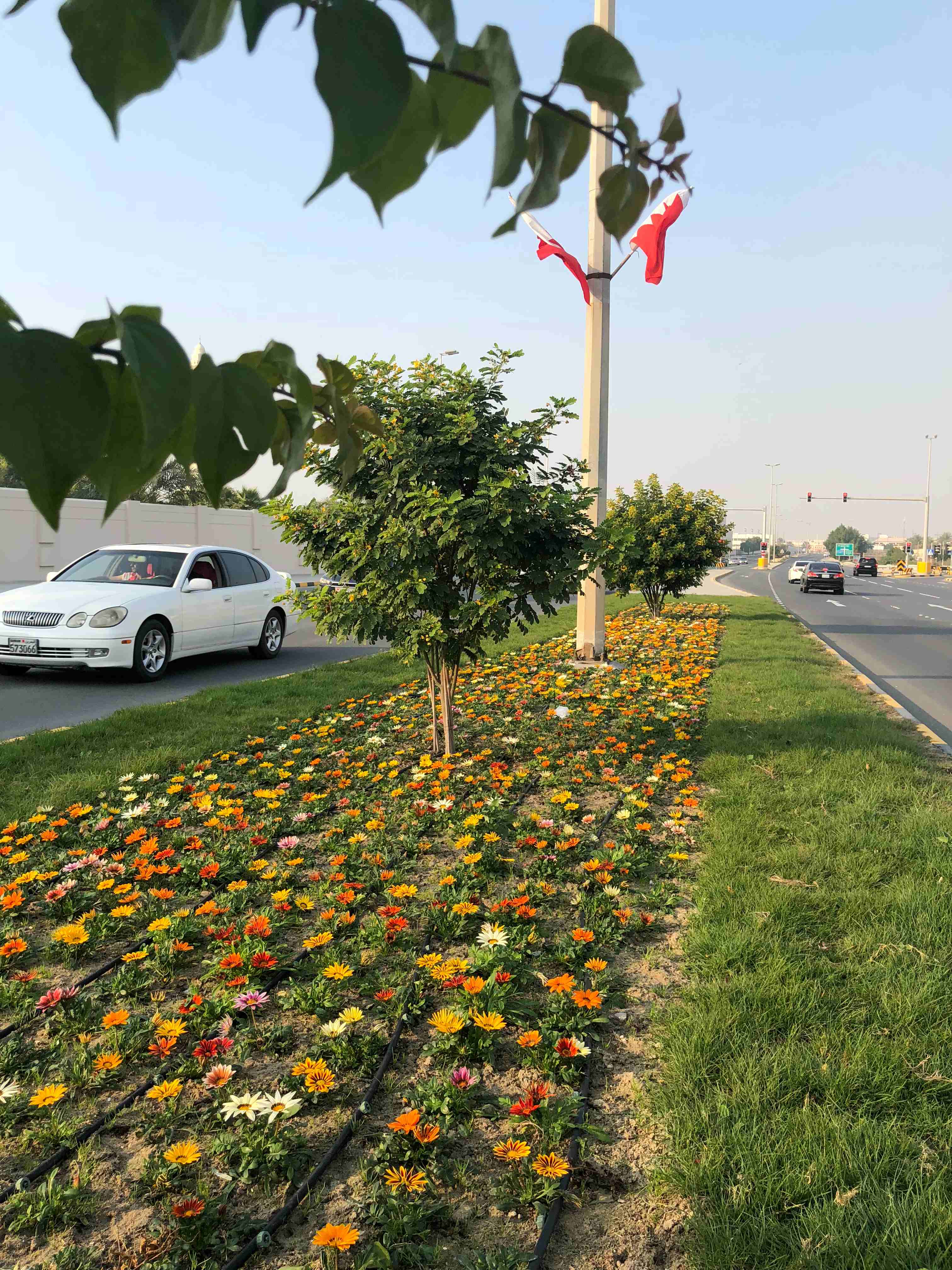 بلدية "الجنوبية" تنتهي من تجميل وتطوير شارع المحرق بالرفاع