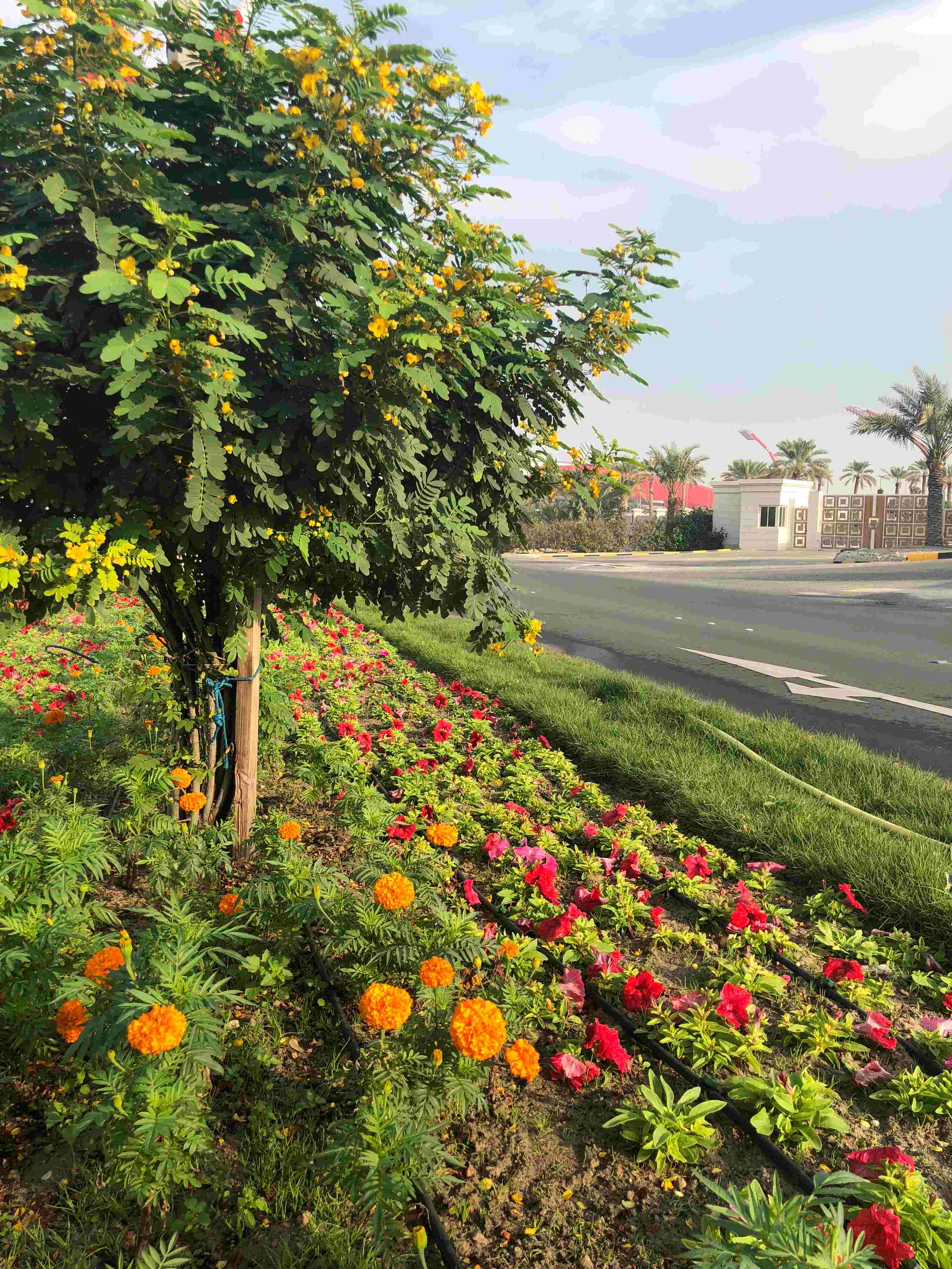 بلدية "الجنوبية" تنتهي من تجميل وتطوير شارع المحرق بالرفاع