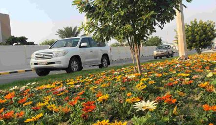 بلدية "الجنوبية" تنتهي من تجميل وتطوير شارع المحرق بالرفاع