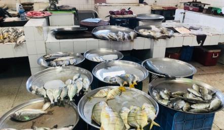 بلدية "الجنوبية" تنفذ حملات