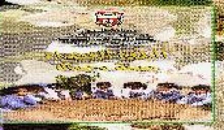 sn324