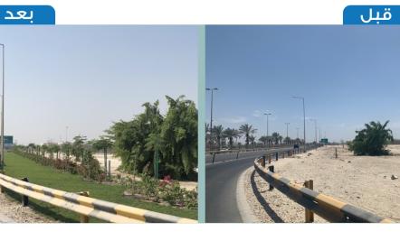 بلدية المنطقة الجنوبية تنفذ المرحلة الثانية من تطوير شارع الشيخ سلمان بزراعة 1770 شجرة وشجيرة