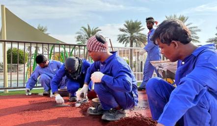 البلدية الجنوبية تقوم بتجديد وصيانة أرضية ممشى الاستقلال المطاطي بمدينة عيسى