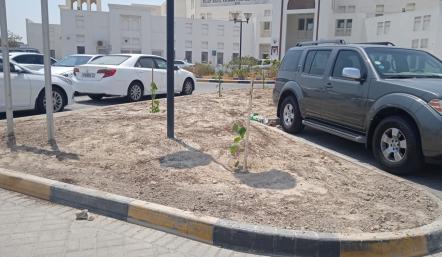بلدية المنطقة الجنوبية تزرع 220 شجرة في مركز يوسف إنجنير الصحي