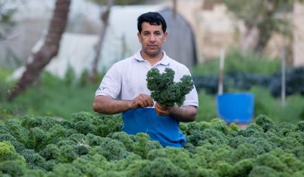 مزارعين ومربين: معرض مراعي(2024) فرصة للارتقاء بالإنتاج الزراعي والحيواني المحلي