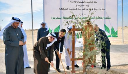 بعد إهدائها 37 ألف شجرة من دولة الإمارات العربية المتحدة الشقيقة .. وزارة شؤون البلديات والزراعة تدشن زراعة أشجار الغاف في مدينة خليفة
