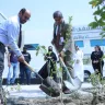 The Southern Municipality is planting 200 seedlings, in partnership with the Royal Hospital, as part of the initiative to intensify agriculture and afforestation in the region