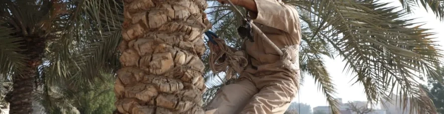 فعالية أصدقاء الحدائق 