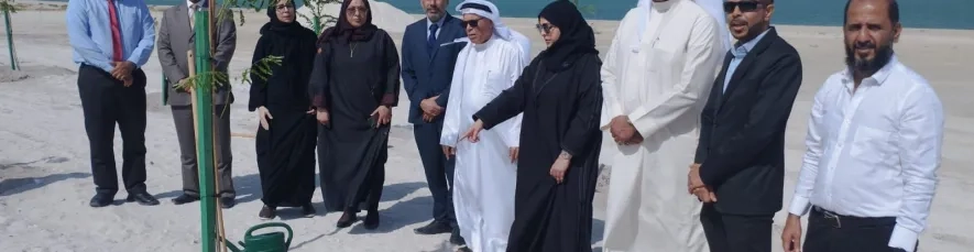 صور من الفعالية