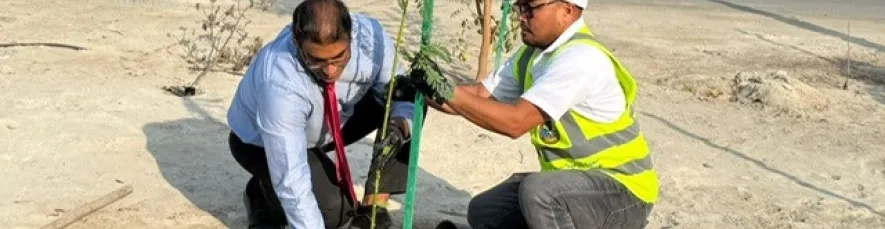 صور من الفعالية