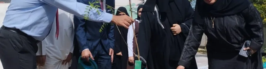 صور من الفعالية