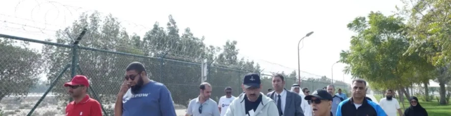 صور من الفعالية