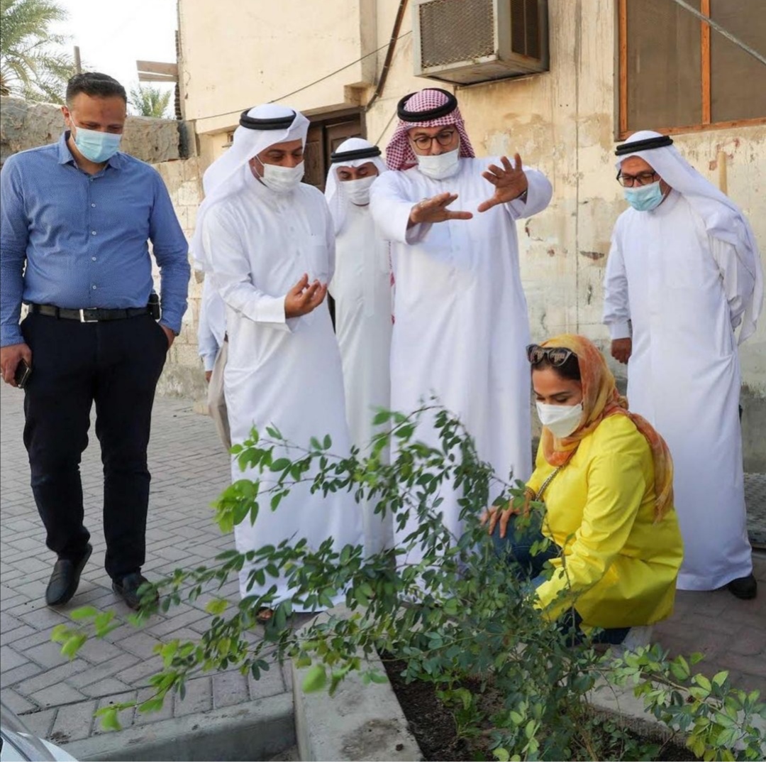         مجلس أمانة العاصمة ومركز تمكين شباب رأس الرمان يطلقان مشروع "أمام كل بيت شجرة"